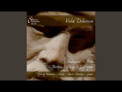 Assista a Pietà: II. Enigmas no YouTube