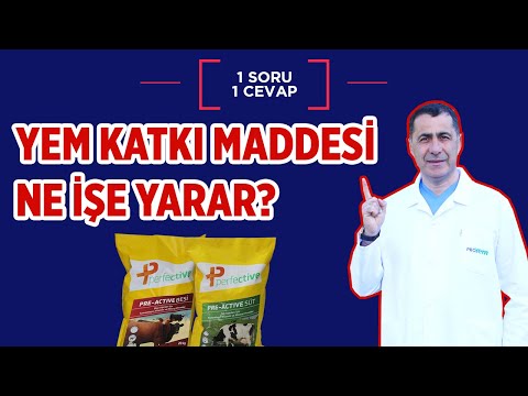 Video: Meslek eğitmeni: artıları ve eksileri