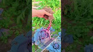 Tl 710020089 Mini Rotary Tillage And Ridging All-In One Tree