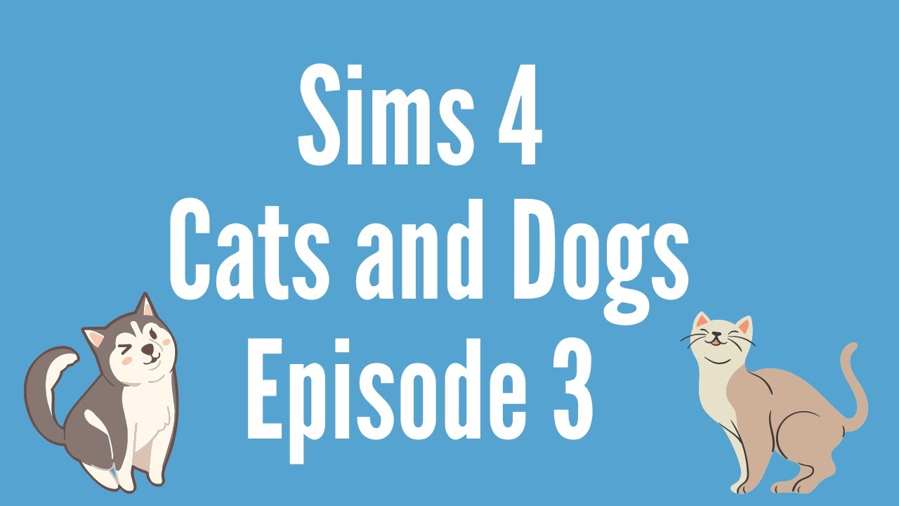 Sims 4 Cats and Dogs Episode 3 getting a cat YouTube