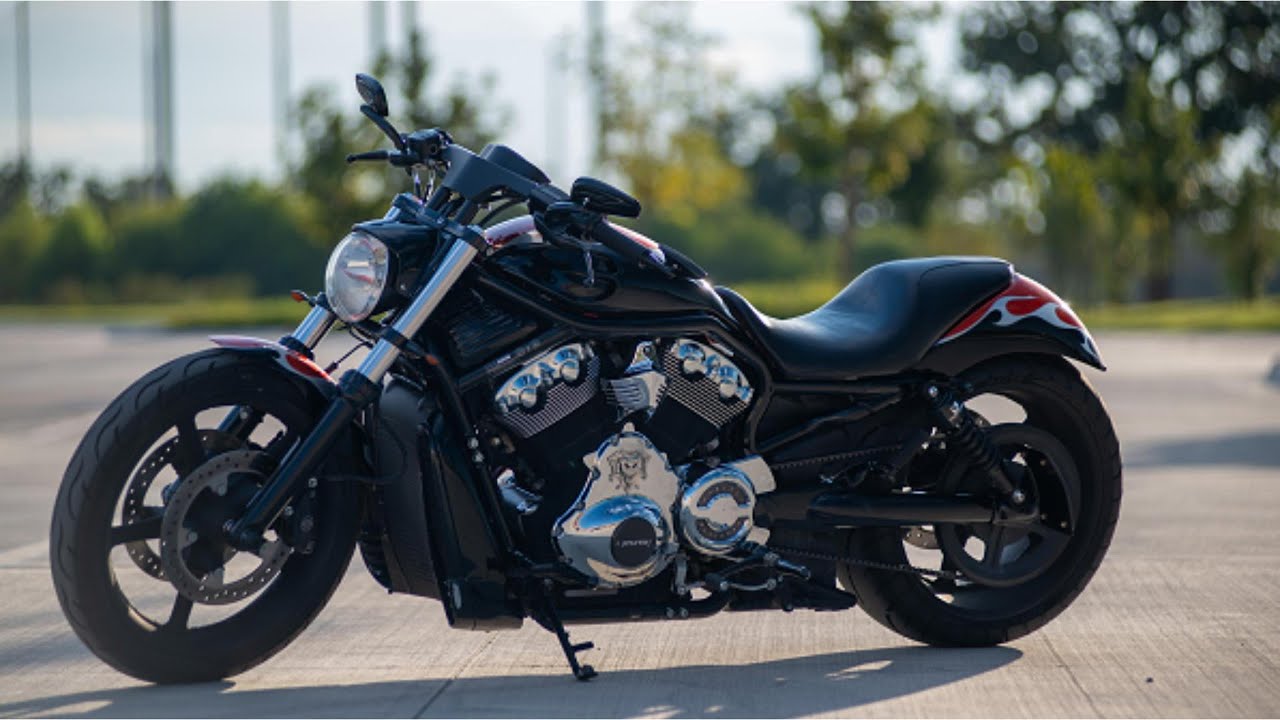 2006 Custom Harley Davidson Night Rod / V Rod