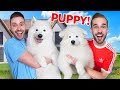 Wij Hebben Een Puppy In Huis! *Blij*