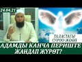 Адамды канча периште жандап жүрөт? Таластагы суроо-жооп 24.04.21