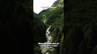 Peaceful Reset for Your Mind | Soft Relaxing Music to Slow Down
