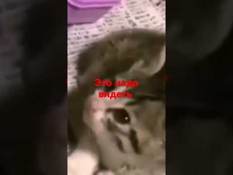 это ужас, как