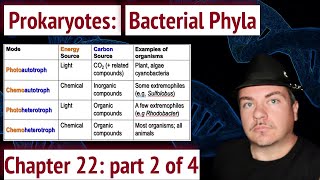 Major Groups of Prokaryotes (Bacterial Phyla)