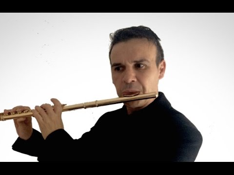 F.DOPPLER Mazurka, op.16, Eduard SNCHEZ - flute-fl...