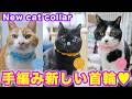 2026ｰ03−08 保護猫たちの「ほっこり猫ライブ」ハッチ＆マック＋黒猫めめ＋がんサバイバーママ Cat live Stream in Japan -Cat Life TV