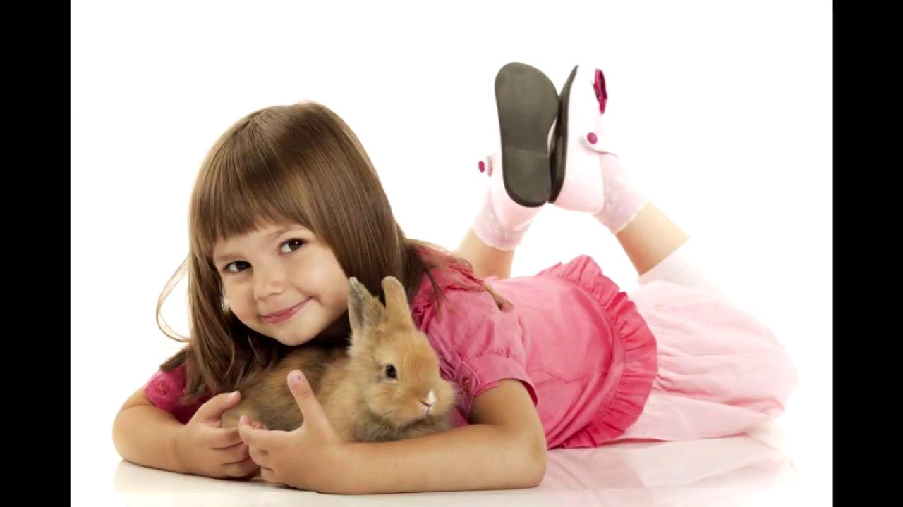 HOW TO TAKE CARE OF ANIMALS YouTube HOW TO TAKE CARE OF ANIMALS YouTube
