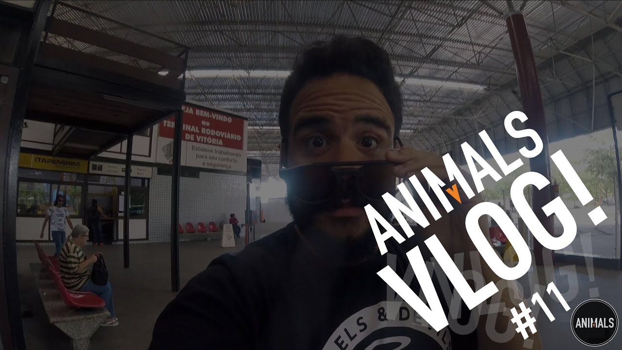 Vlog Animals #11 (Nov.2018)