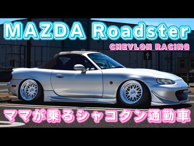 Introducing my favorite car] A girl who drives a low-profile