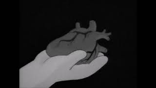 S V L L O - Otra Vez Ex Callin Spanish Version