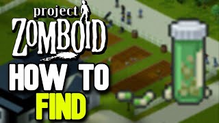 How to Find Antidepressants in Project Zomboid