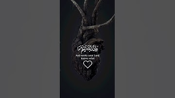 سـورة/النـمل#تلاوة_خاشعة #قران_كريم #تلاوة #سورة_النمل #آيات #ayatquran