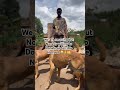 Please help donate for dogs food #care #goviral #donate #boost
