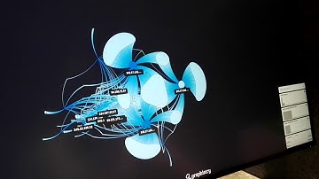 Accelerated Data Science Visualization