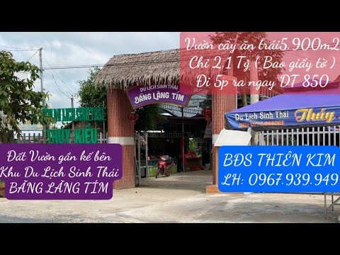 Video BÁN ĐẤT VƯỜN 5.900m2 đường nhựa 4m gần KDL Xẻo Quýt,... - youtube