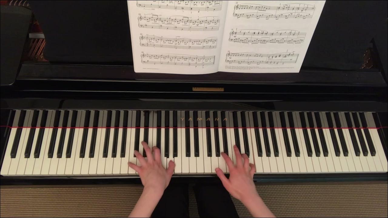 Melancholy Reflections by Mike Schoenmehl RCM Celebration Series