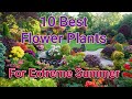 10 Best Flower Plants for Extreme Hot Weather