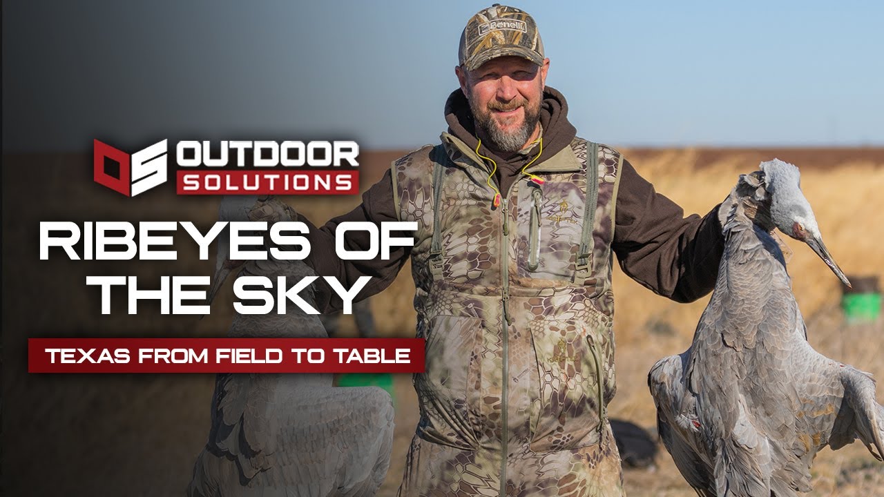 Sandhill Crane Hunting | Chef Prepared Recipes - YouTube