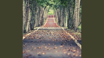 Sublime Backdrops for Tranquility