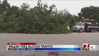 Fallen tree blocks traffic on Avent Ferry Road