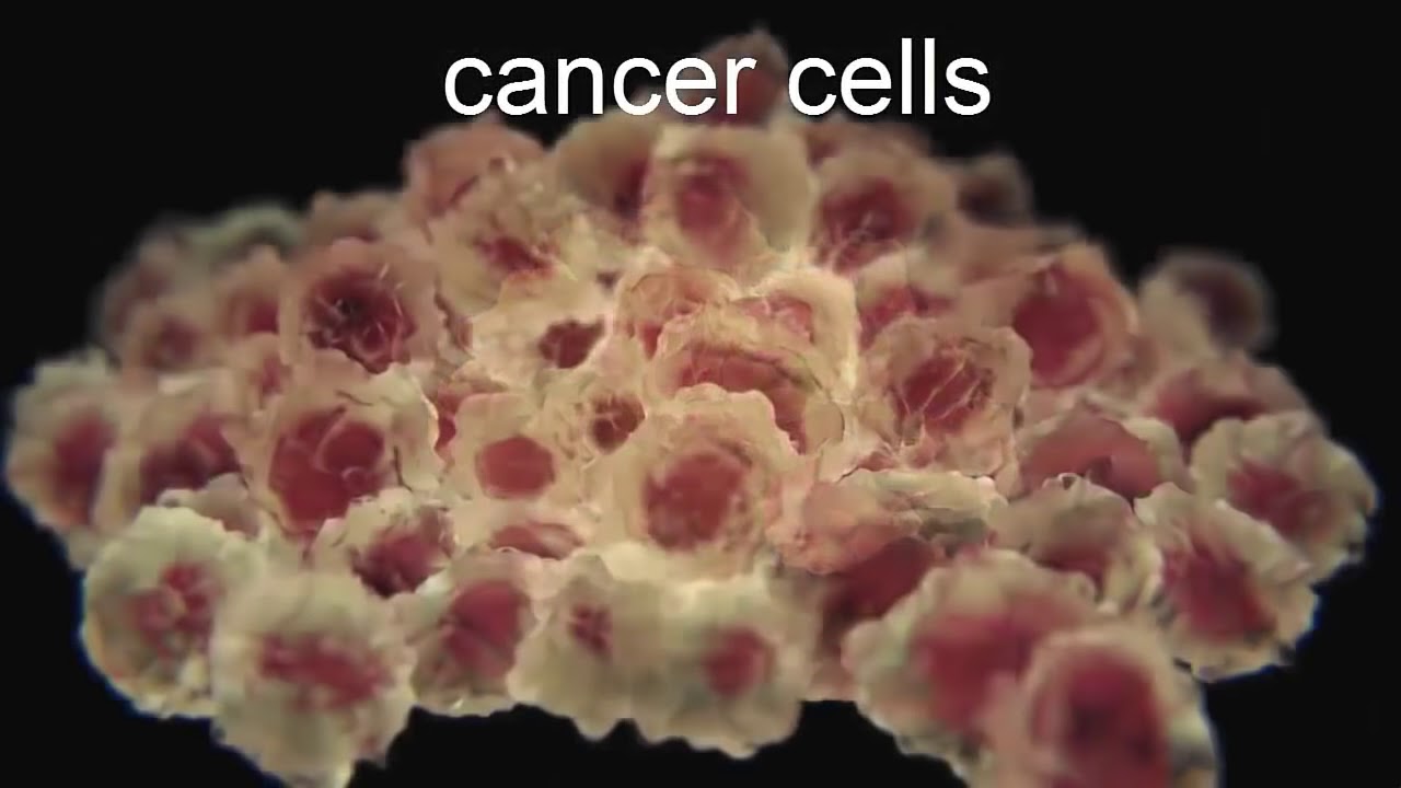 TOP 5 Health Benefits of BRANDY YouTube