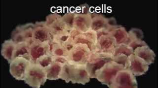 TOP 5 Health Benefits of BRANDY