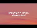 Sam Feldt Winter Wonderland Lyrics mp3