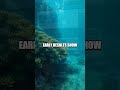 The Quantum Reef: Soft Swarm Redefining Coral Restoration