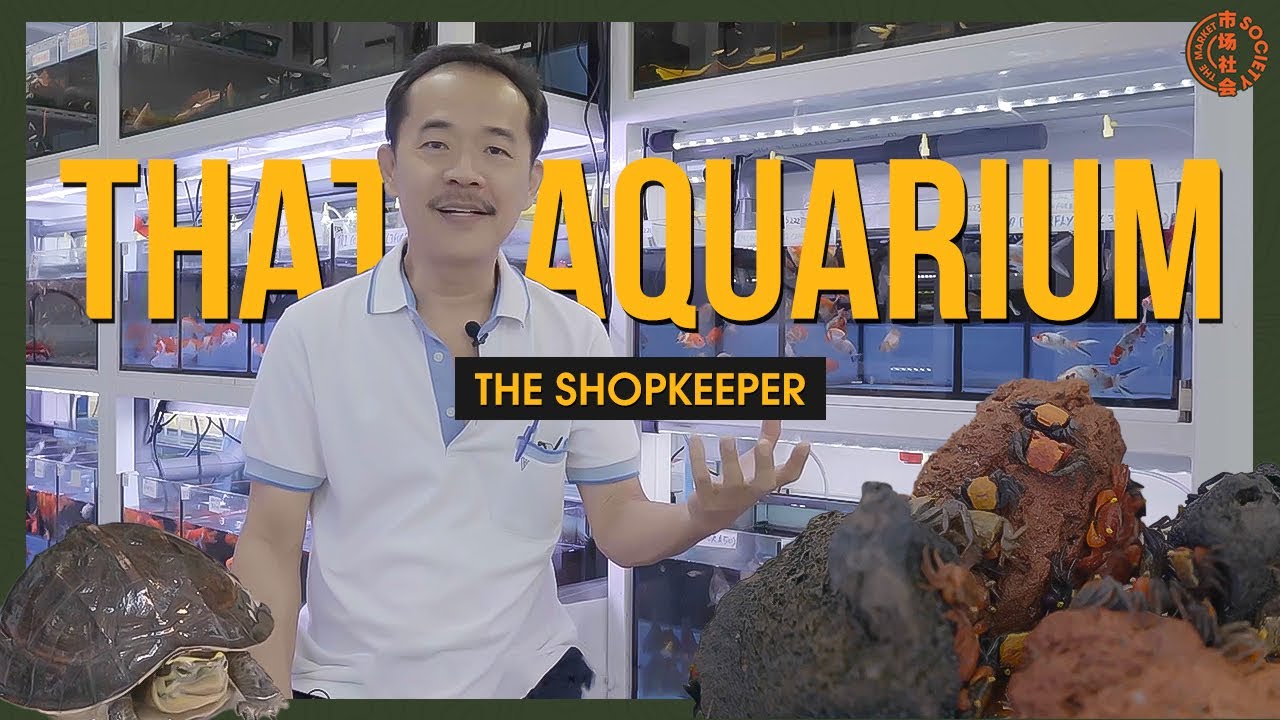 The Shopkeeper EP2: That Aquarium