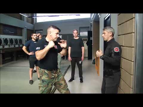 видео: Seminar Systema Combat Wolf . Ioannina