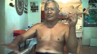 Micronesiadanio Poll On Traditional Mokilese Fishing Compeions