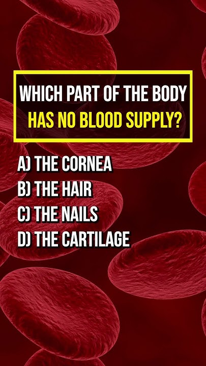 What Part Of Body Has No Blood Which part of the body has no blood supply? #viral #shorts #trending