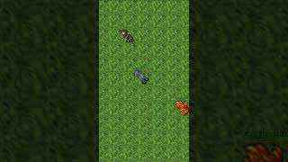 Fire Elemental Summons | PLAYER KILLING | Calisto Khirai (Lunara, 53 Master Sorcerer) | Tibia 7.2