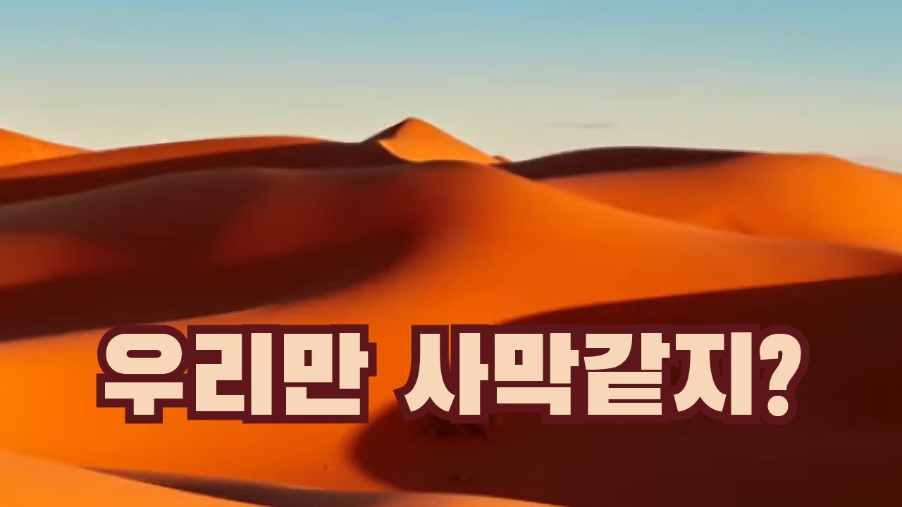 모래사막은 전체 사막의 일부분이다? [핫클립] / YTN 사이언스