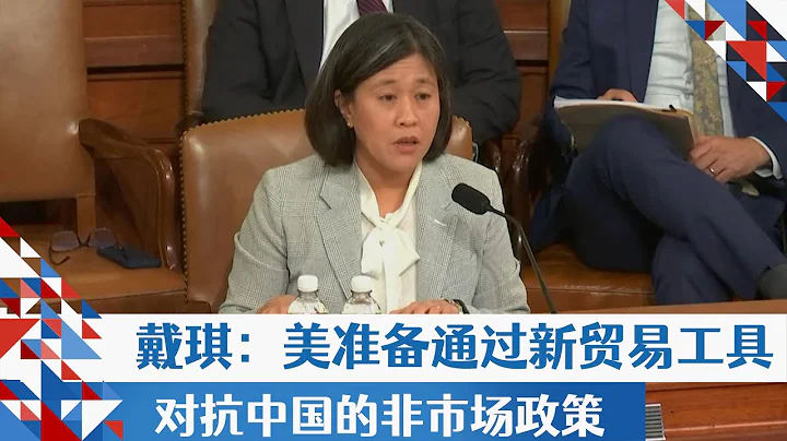 戴琪：美準備通過新的對華關稅行動 對抗中國的非市場政策 - 天天要聞