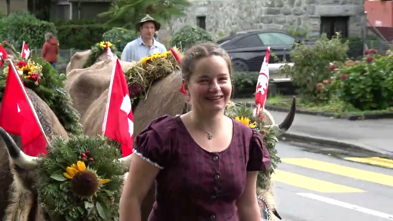 alpabfahrt ennetbürgen 27 09 2025 movie