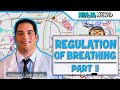 Respiratory | Regulation of Breathing: Central & Peripheral Chemoreceptors: Part 2