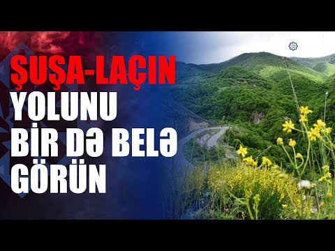 Şuşa-Laçın yolu yaşıllığa büründü