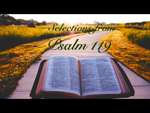 Selections from Psalm 119