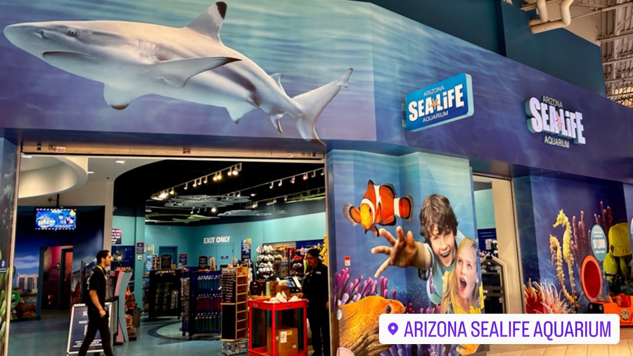 Sea Life Arizona Aquarium Tour 2024 Arizona Mills Mall YouTube
