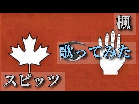 【家カラ】'95「楓 / スピッツ」（原曲-3）歌ってみた。2回目 by 生音風カラオケ屋