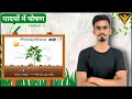lec 1 | प्रकाश संश्लेषण क्या है | पादपों में पोषण | What is Photosynthesis | the bachelor's insitute