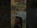ragebaiting the Archer's #saber #Mount & blade bannerlord 2 #mountandblade2 #Archer