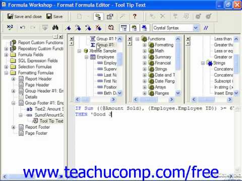 Crystal Reports Tutorial Conditionally Formatting a Field Business Objects Training Lesson 10.4