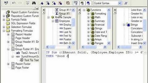 Crystal Reports Tutorial Conditionally Formatting a Field Business Objects Training Lesson 10.4