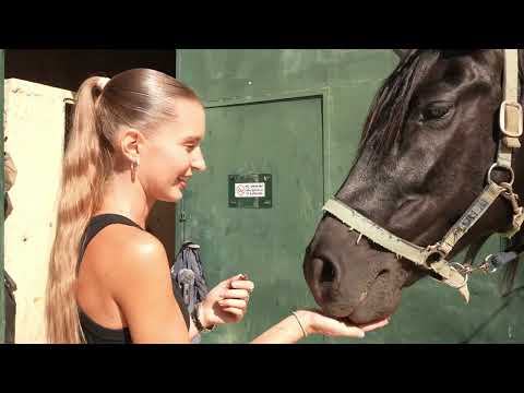 When horsepower meats real horses! NEW FlexRides episode with Mustang Mach E