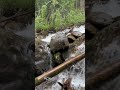 В горах Архыза на водопадах