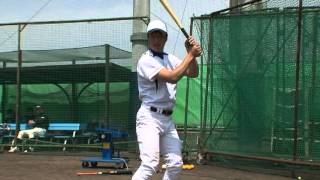 【SSK】トレーニングミニボール：GDTRUB/GDTRAU